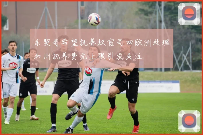 东契奇希望抚养权官司回欧洲处理加州抚养费无上限引发关注